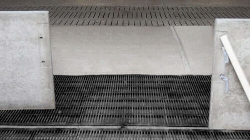 深圳跨境电商厂家：揭秘优质供应商的选品之道