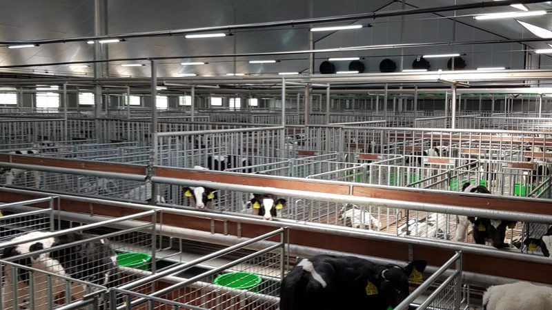 美国商标品牌备案，了解其时间周期与关键流程